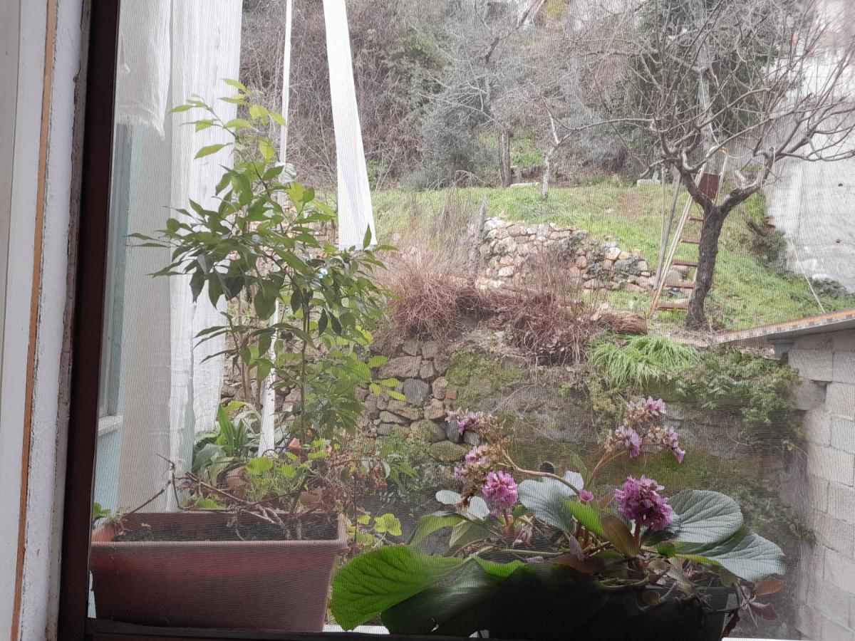 Antichi Sapori Da Speranza Gavoi Quarto foto